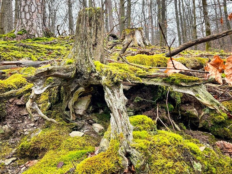 23-03-12 11-10-00 4777